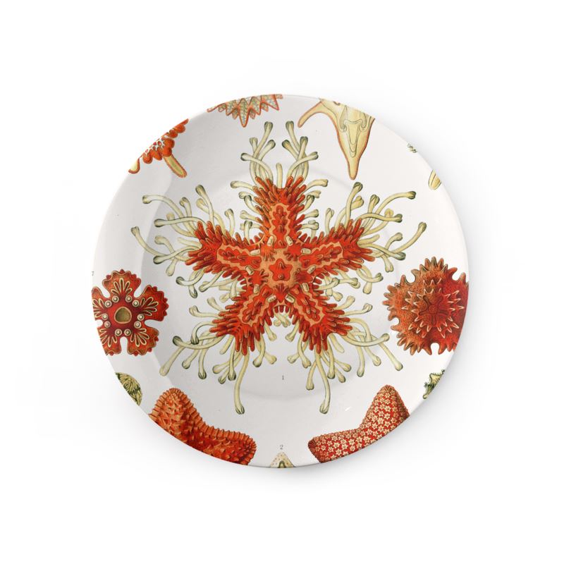 Asteridea, Ernst Haeckel, 1904