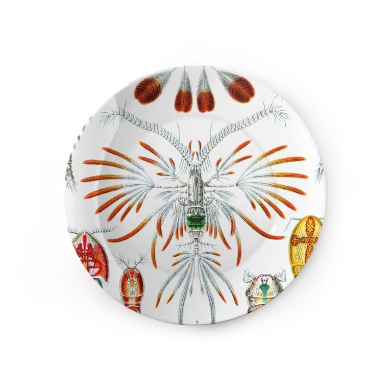 Copepoda, Ernst Haeckel, 1904
