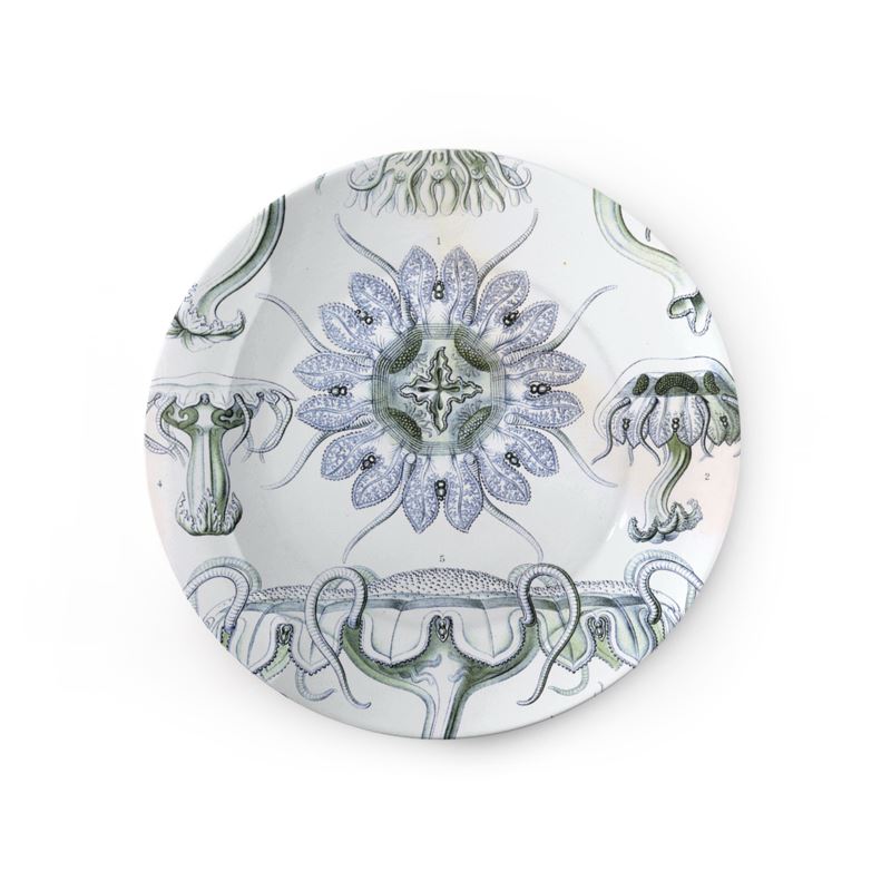 Discomedusae 18, Ernst Haeckel, 1904