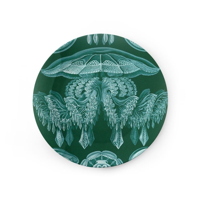 Discomedusae 88, Ernst Haeckel, 1904