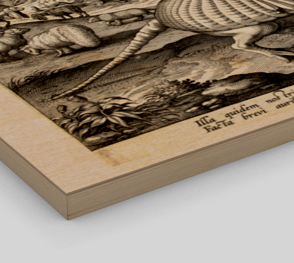 America by Adriaen Collaert, 1586-1591