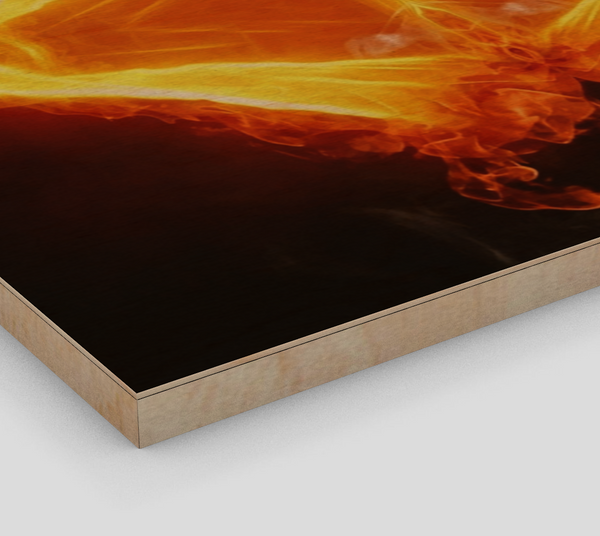 Ablaze Fine Art Print on Wood Panel
